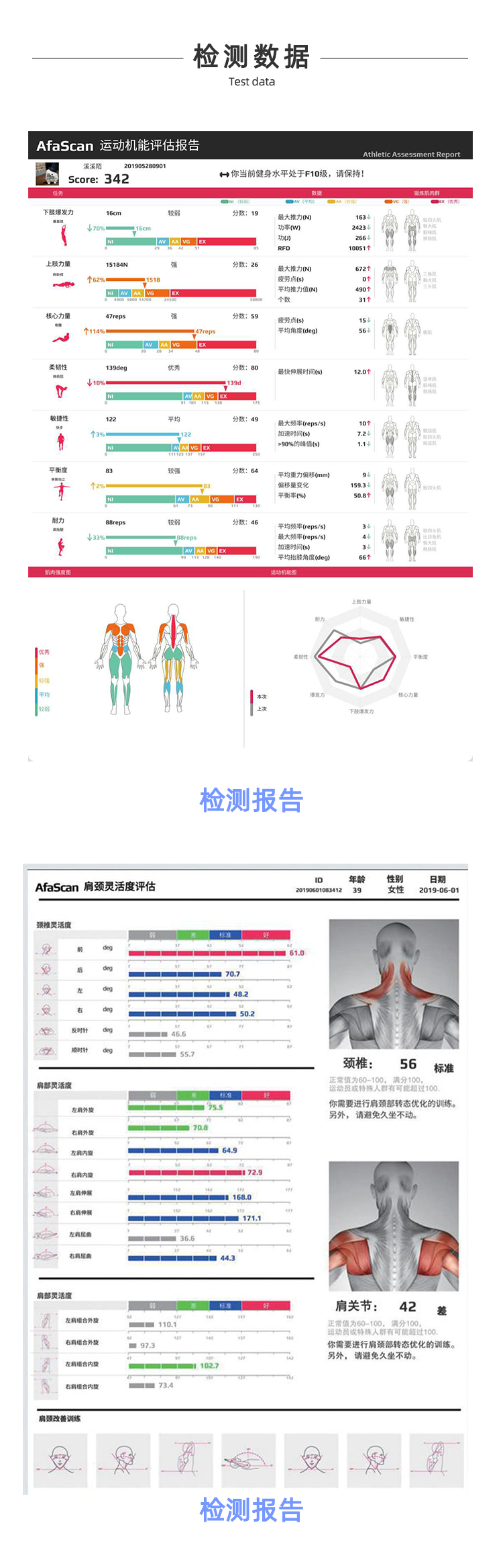 体能评估系统