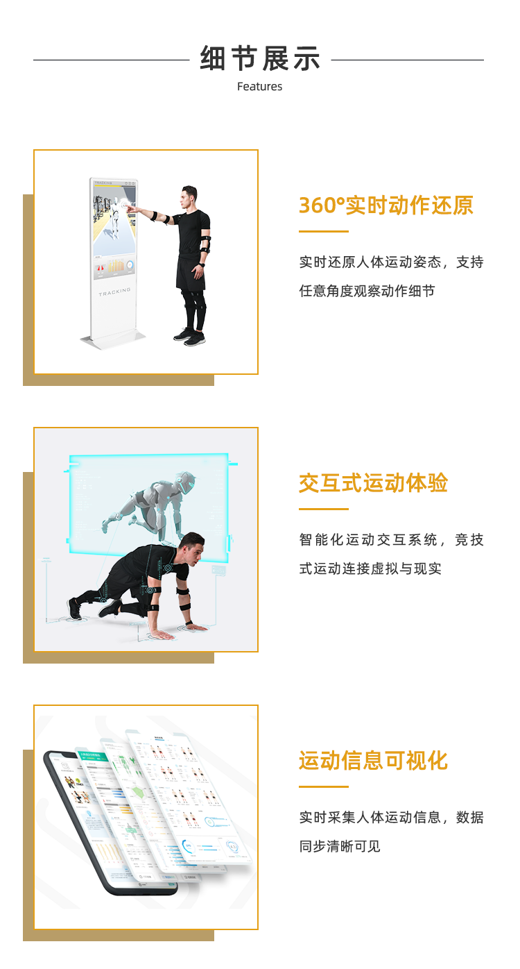 体能检测仪