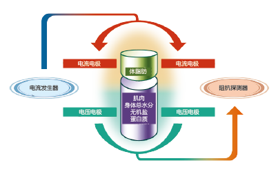 ioi353人体成分分析仪生物电阻原理