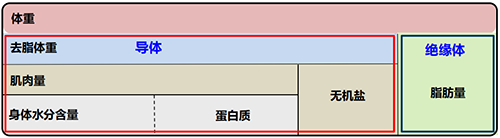 人体成分分析仪