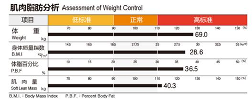 人体成分分析仪