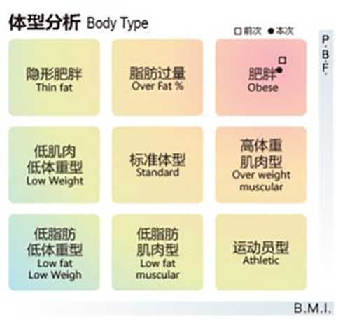 人体成分分析仪