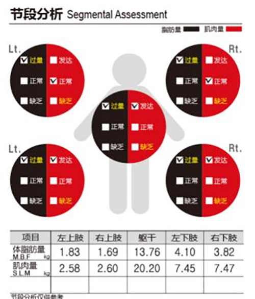 人体成分分析仪